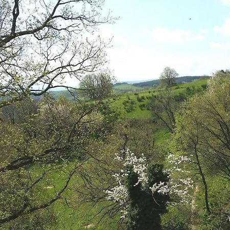 Gite Les Cadichons De La Grange Saint-Péray المظهر الخارجي الصورة