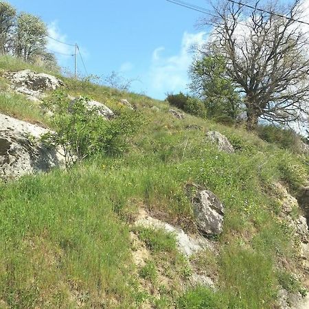 Gite Les Cadichons De La Grange Saint-Péray المظهر الخارجي الصورة