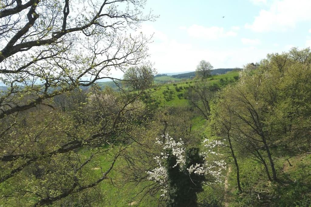 Gite Les Cadichons De La Grange Saint-Péray المظهر الخارجي الصورة