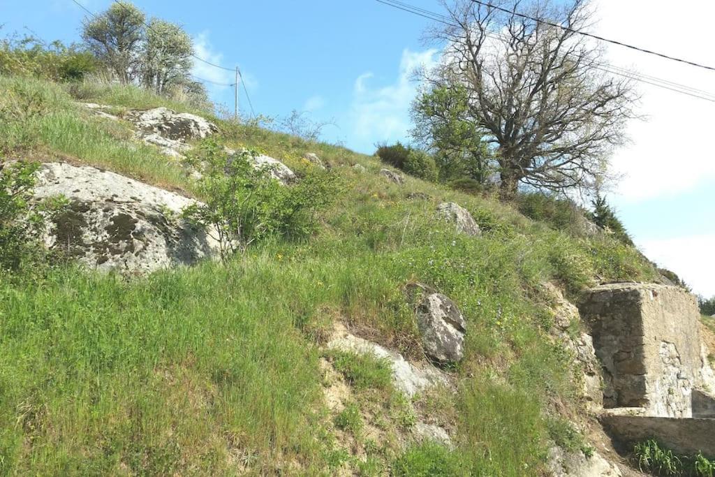 Gite Les Cadichons De La Grange Saint-Péray المظهر الخارجي الصورة